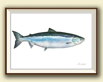 PRINT- Atlantik Lachs Fisch Kunst Wandbild Aquarell original Salmo Salar Lachs Fliegenfischen - Art Print von Juan Bosco