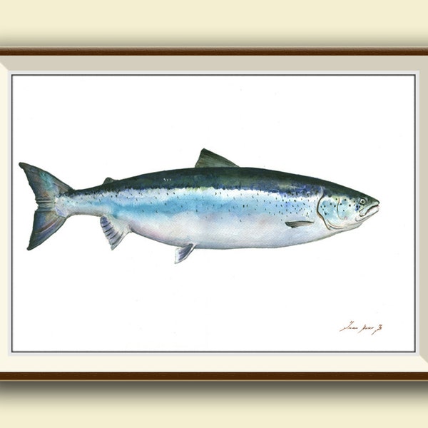 PRINT- Atlantik Lachs Fisch Kunst Wandbild Aquarell original Salmo Salar Lachs Fliegenfischen - Art Print von Juan Bosco