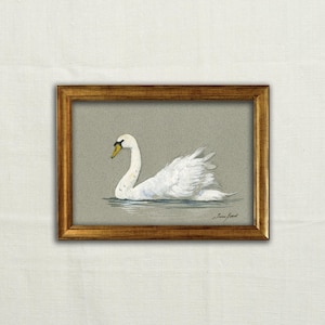 Original, NOT A PRINT - Swan art, White swan sketch, minimalist swan drawing, French country side, farmhouse art painting - Unframed art