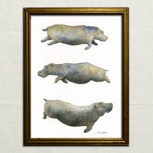 STAMPA - Acquerello di ippopotamo su carta, illustrazione di ippopotamo, Hippopotamus amphibius, opere d'arte di ippopotami, animali africani