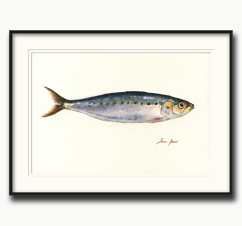 May include: Watercolor painting of a silver and blue sardine fish on a white background. The fish is facing right and has a small, red mouth. The artist's signature, "Joan Bone", is written in red ink in the bottom right corner.