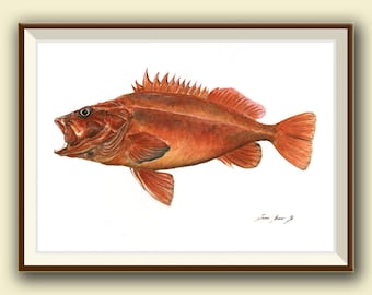 PRINT- Vermilion Rockfish red fish saltwater gamefish  fishing art - fish print painting art print - fishing decor - Art Print by Juan Bosco