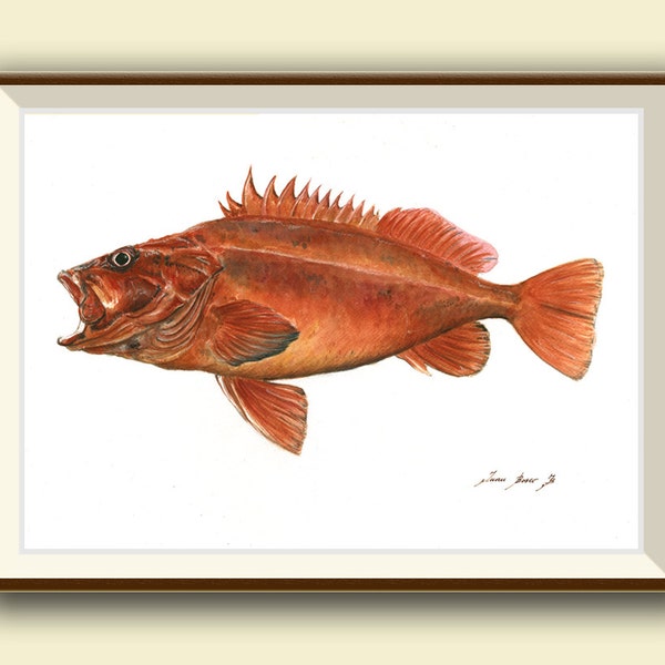 Rockfish Etsy