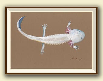 Axolotl Mexican salamander - Mexican Walking fish -  print watercolor painting art wall - Art by Juan Bosco