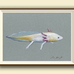 Axolotl Mexican salamander - Mexican Walking fish -  print watercolor painting art wall - Art by Juan Bosco