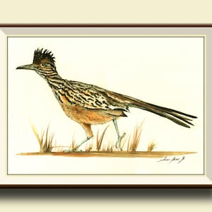 PRINT-Greater Roadrunner bird - wildlife animal decor- bird animal wall art -  birds decal- Art Print