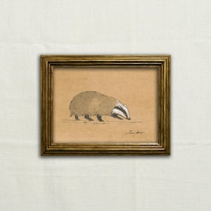 Original, NOT A PRINT - Badger art, badger charcoal sketch, minimalist badger, Musteloidea classic draw, badger illustration - Unframed art.