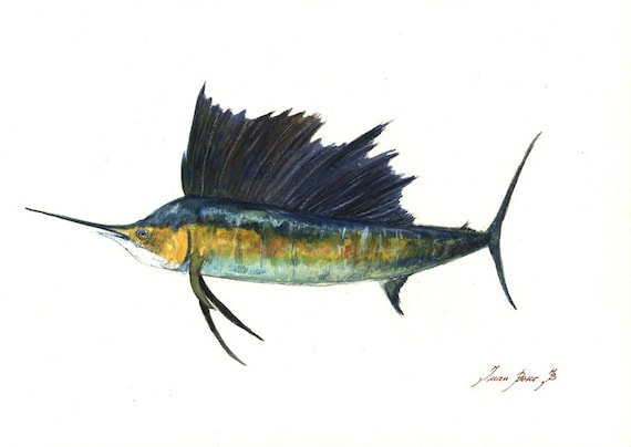 Print-sailfish - Billfish Fish Swordfish Marlin Print