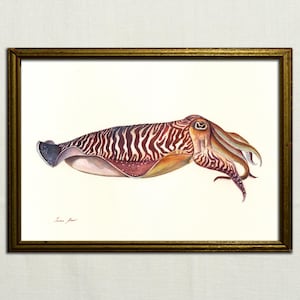 DRUCK -Tintenfischmalerei, Tintenfischaquarell, Tintenfischdruck, Tintenfischkunst, Tintenfischmalerei, Fischdruck, Fischkunst, Angelkunst von