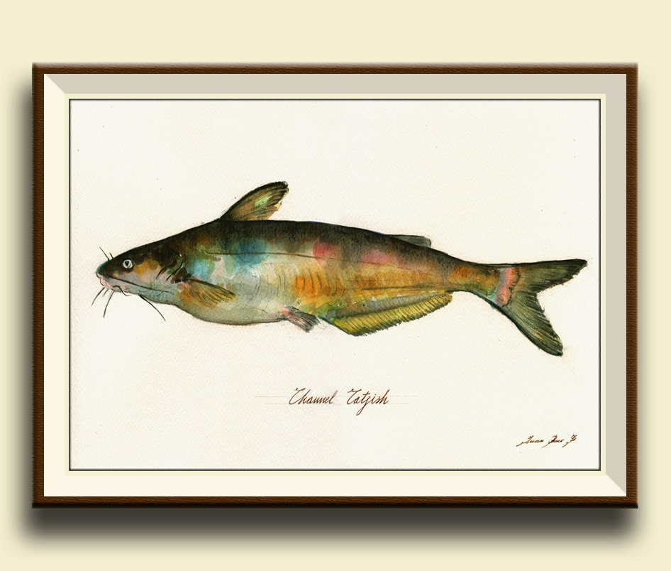 PRINTCatfish fish watercolor painting print game fishing Etsy