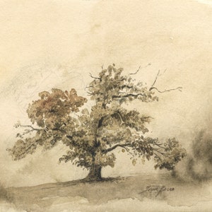 K&ouml;nnte beinhalten: Ein Aquarellbild eines gro&szlig;en Baumes mit braunen und gr&uuml;nen Bl&auml;ttern vor einem hellbraunen Hintergrund. Die Unterschrift des K&uuml;nstlers "Jean-Pierre" befindet sich unten rechts.