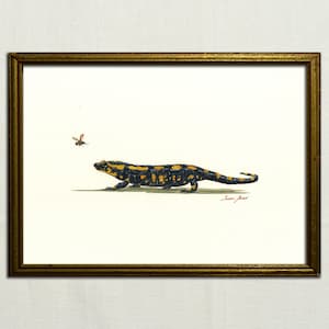 PRINT -Fire Salamander watercolor, fire salamander print, fire salamander art wall, fire salamander painting art, amphibian animal