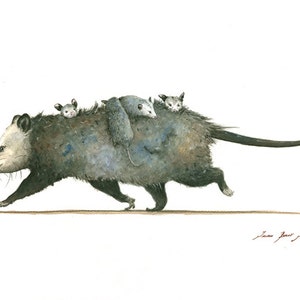 May include: A watercolor painting of a gray opossum carrying three baby opossums on its back as it runs. The opossum is depicted in a realistic style with detailed fur and facial features.