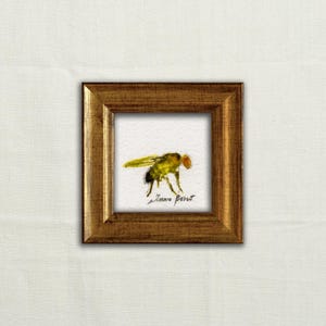 Può includere: Un piccolo dipinto ad acquerello incorniciato, di forma quadrata, raffigurante una mosca. La mosca è raffigurata in tonalità di giallo, nero e arancione, con delicate pennellate. La cornice è di un caldo marrone dorato. Sfondo bianco.