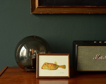 STAMPA - Dipinto di pesce scatola giallo, acquerello di pesce scatola giallo, arte di pesce scatola, stampa di pesce scatola, stampa di pesce scatola giallo Art by