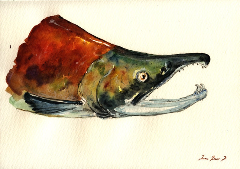 Print-sockeye Salmon Fish Art Wall Painting Watercolor - Etsy