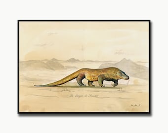 Komodo Dragon painting- komodo monitor art - lizard watercolor art wall komodo  portrait  - Art  by Juan Bosco