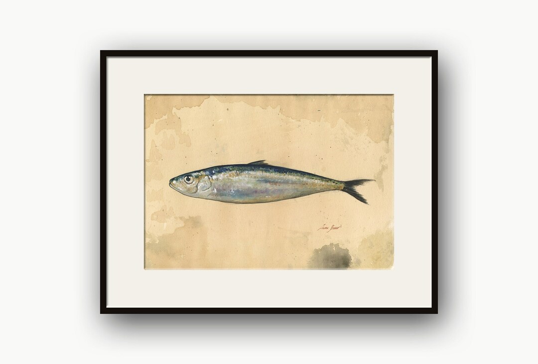 Sardine Watercolor Painting, Fish Art, Pilchard Watercolor, Fish Deco