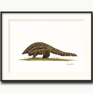 PRINT -Pangolin watercolor, pangolin print, pangolin art, pangolin painting, pangolin animal nursery watercolor painting- Art Print