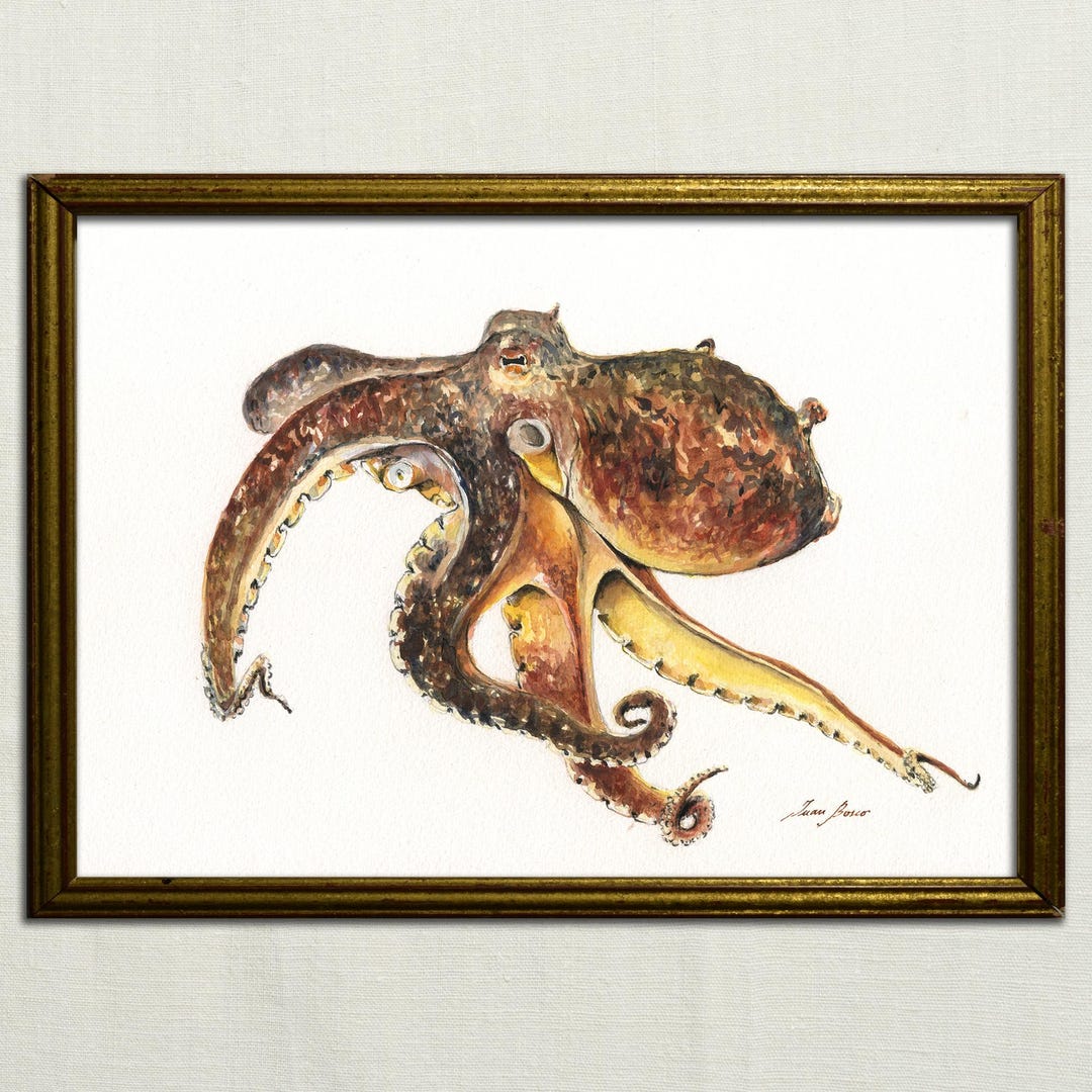 プリント、タコの水彩画、タコの絵画、タコの絵、タコのプリント、タコ