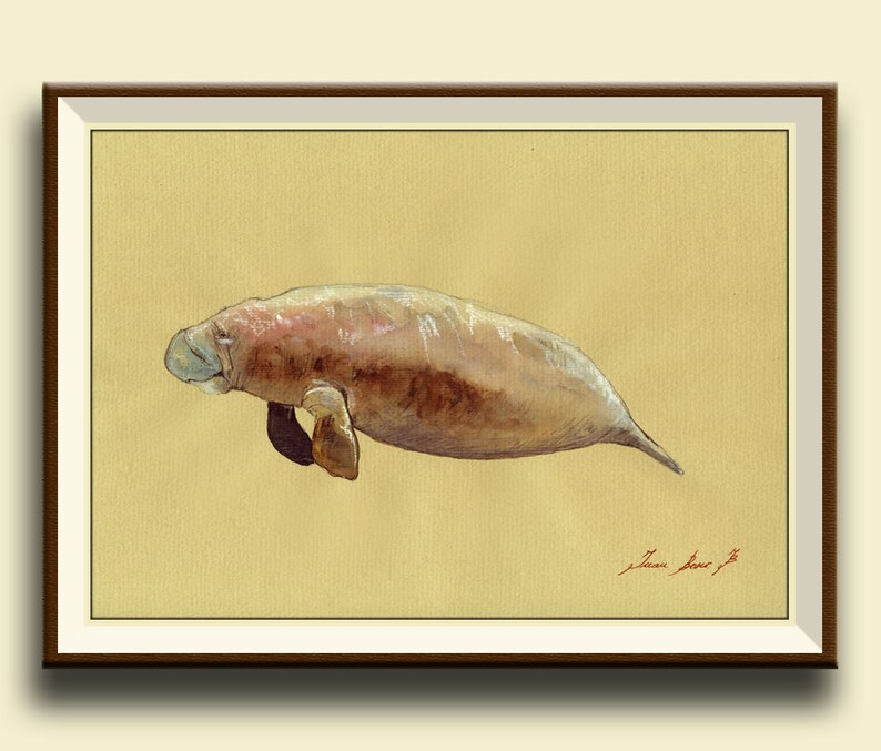 Print-manatee Sea Cow Mermaid Print Artwork Marine Mammal - Etsy