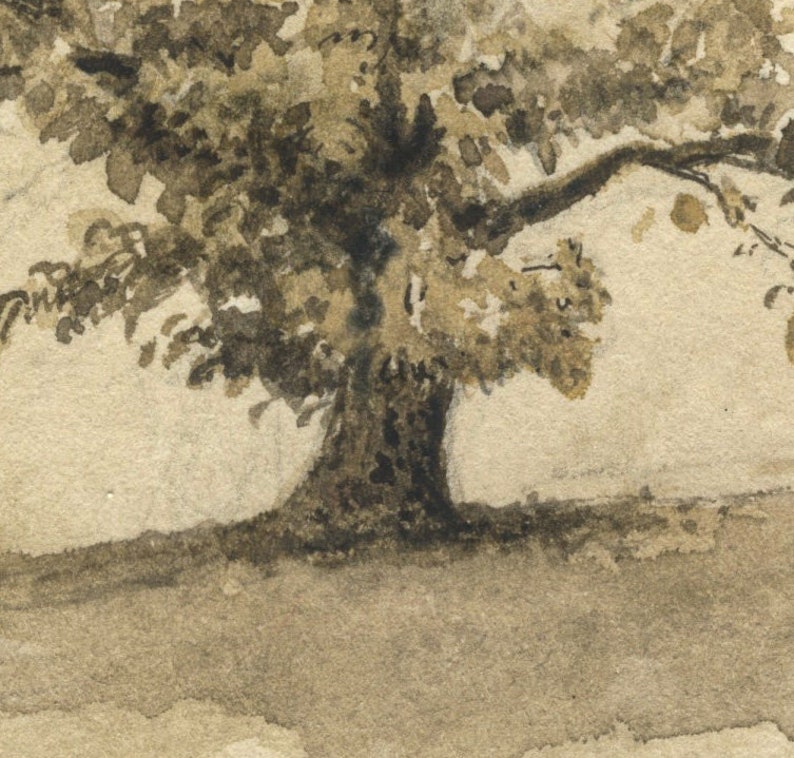 K&ouml;nnte beinhalten: Ein Aquarellbild eines Baumes mit einem dicken Stamm und &Auml;sten. Der Baum ist in Braun- und Graut&ouml;nen auf einem hellbeigen Hintergrund gemalt.