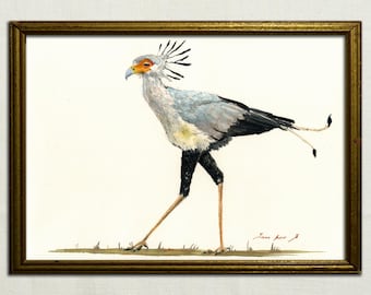 Peut inclure: Peinture à l'aquarelle d'un secrétaire oiseau gris et noir avec un long cou fin et de longues pattes. L'oiseau a une crête de plumes distinctive sur la tête et une longue queue.