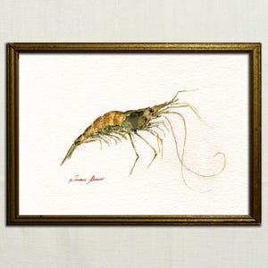 PRINT -Prawn painting, Shrimp seafood watercolor art,  prawn print, shrimp decor, shrimp art wall, fish print, fish watercolor by