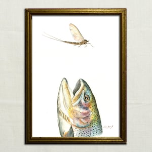 PRINT- Rainbow Trout eating fly - watercolor painting print - fishing decor- art wall decal -sport fly fishing - Art Print by Juan Bosco