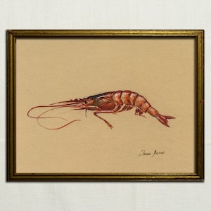 IMPRIMIR - Pintura de acuarela original de camarón rojo, ilustración de camarón, Caridea, pintura de camarones para decoración de la casa, arte marino de crustáceos por