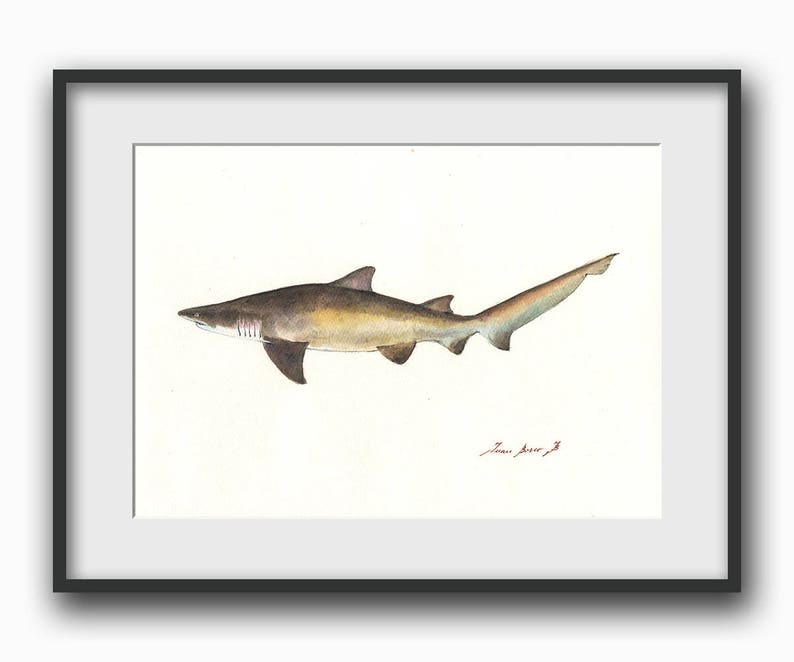 Sand Tiger Shark Shark Art Fish Art Wall Decor Print Etsy