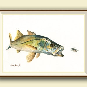 PRINT- Snook fish bait pilchard -saltwater gamefish - fishing art - fish print painting art print - fishing decor - Art Print by Juan Bosco