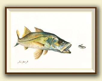 PRINT- Snook fish bait pilchard -saltwater gamefish - fishing art - fish print painting art print - fishing decor - Art Print by Juan Bosco