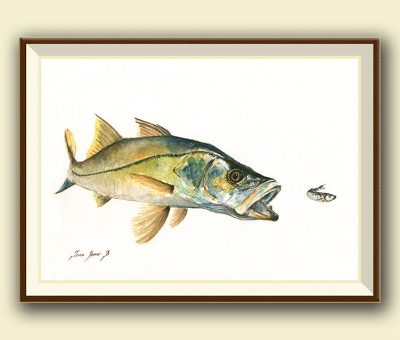 Buy PRINT Snook Fish Bait Pilchard saltwater Gamefish Fishing Art Fish  Print Painting Art Print Fishing Decor Art Print by Juan Bosco Online in  India 