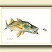 see more listings in the PRINTS - Ocean & fish section