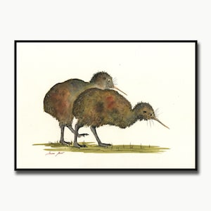 IMPRESIÓN - Pintura de kiwi australiano, impresión de pájaro kiwi, pájaros australianos, impresión de kiwi, arte de pájaro kiwi, acuarela y estampado de arte de pared