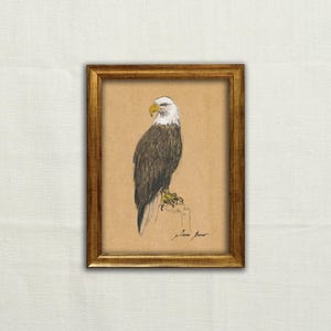 Original, NOT A PRINT - Bald eagle bird art, eagle watercolor & charcoal, bald eagle illustration, white eagle painting, vintage bald eagle.