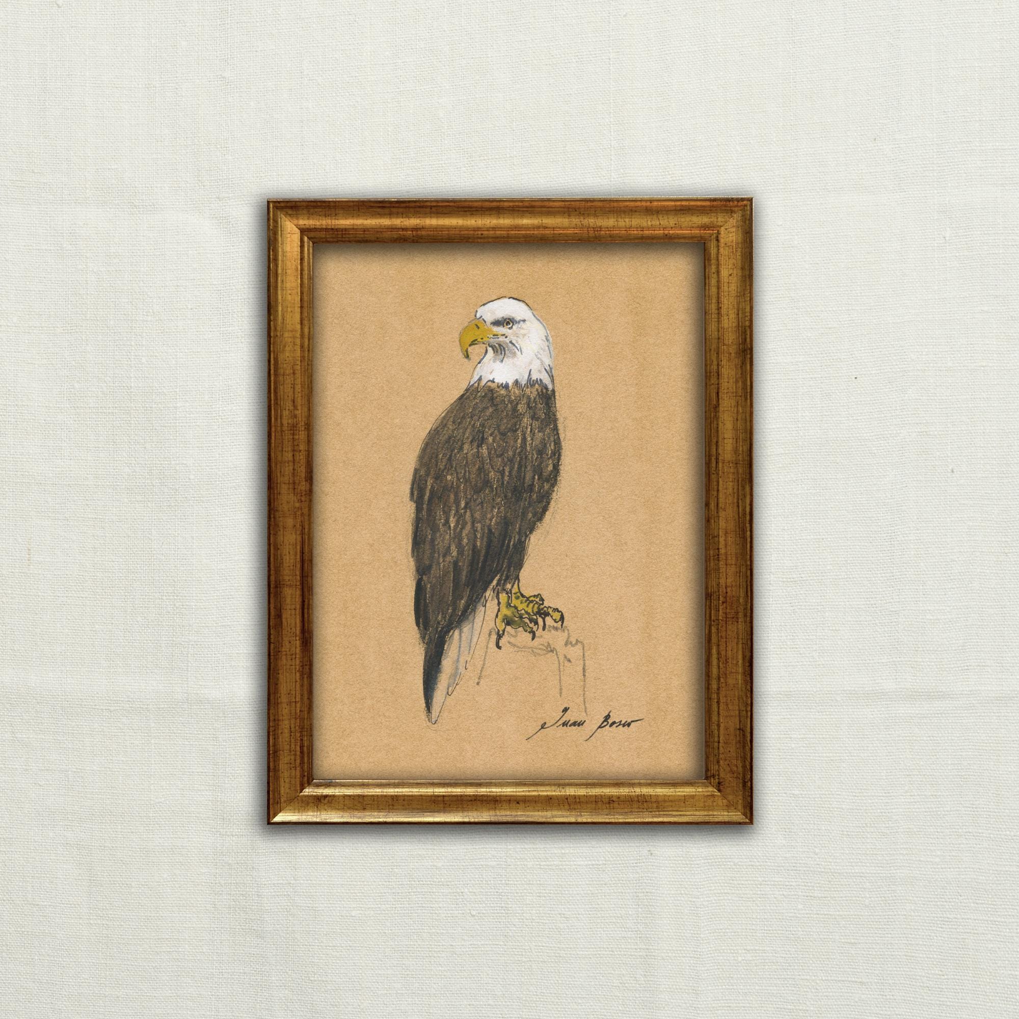 Stampa Su Tela Aquila 80x60 Cm – Quadro Decorativo Da Parete, Made In Germany