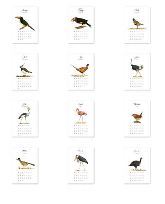 CALENDAR Bird calendar 12 different birds watercolor