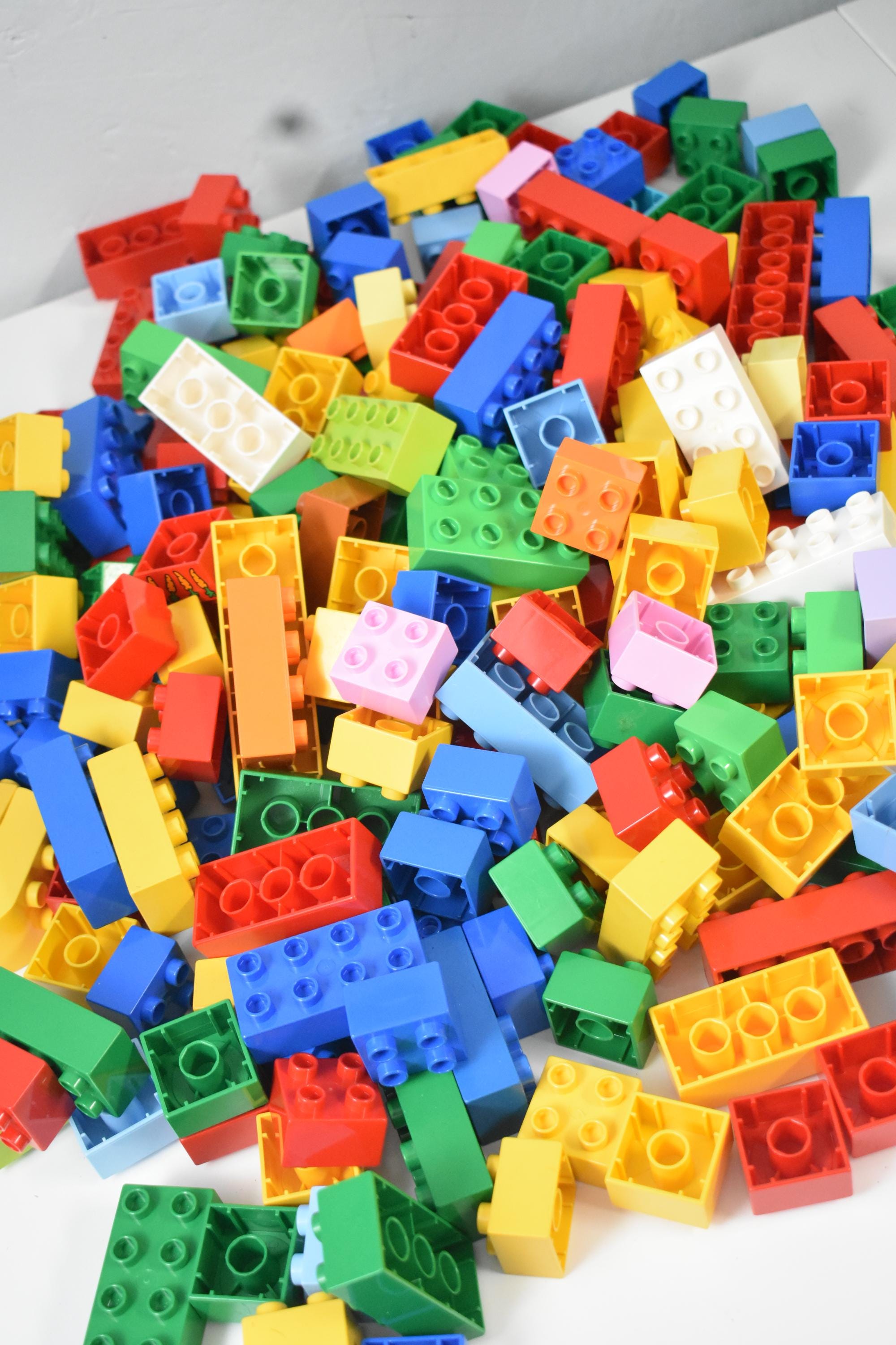 220 Pieces Duplo Assorted Basic Bricks 220 Pieces - Etsy