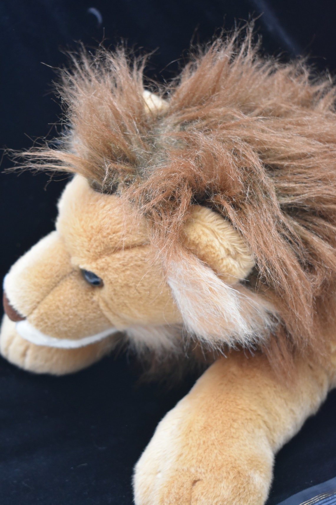 aurora world lion