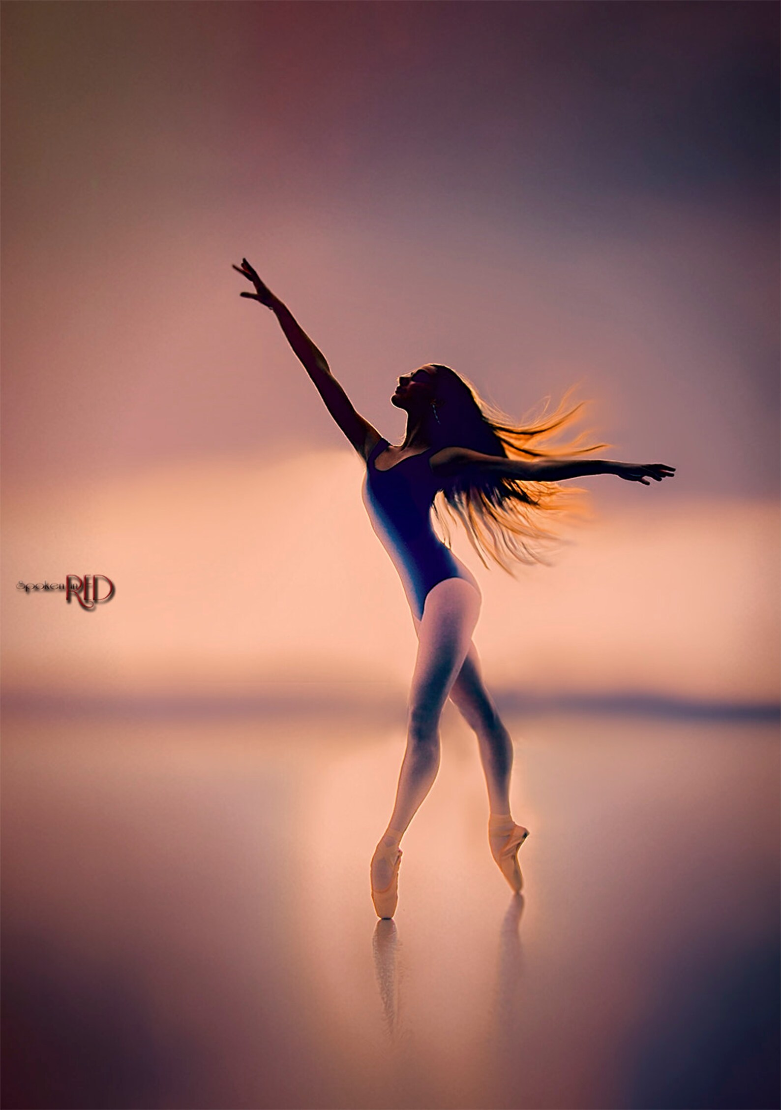 ballerina art-girls room art-ballet wall art-dancer-nursery decor-free shipping-ballerina decor-for ballet lovers-ballet fine ar