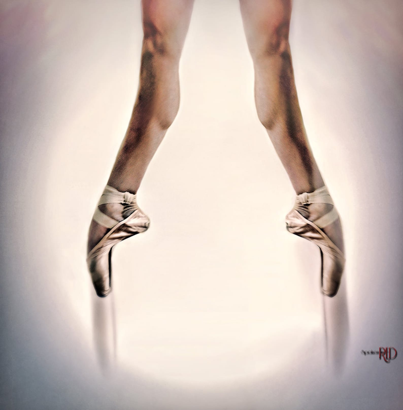 releve-ballet art print-ballerina pointe shoes-ballet-dancer-dance arts-ballet wall art-ballerina decor-free shipping-dancer en