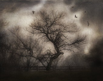 Svetlana's Tree Gothic Art Print, Moody Sepia Landscape, Macabre Crows Wall Art