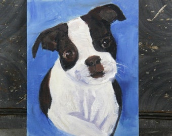Small MCM Original Oil Painting on Canvas Board of a Boston Terrier