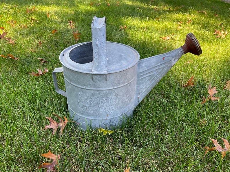 Large Galvanized Metal WATERING CAN 12 Quart Brass Sprinkler Head No