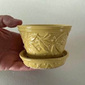 May include: A small, glossy yellow ceramic plant pot with a matching saucer. The exterior of the pot and the rim of the saucer feature a raised, embossed pattern of elongated leaves and small dots, creating a textured, monochromatic surface.