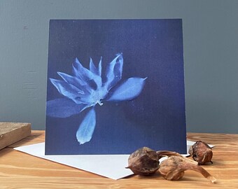 Ethereal Magnolia blossom Cyanotype print blank notecard.