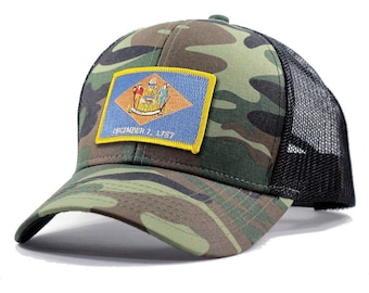 Homeland Tees Delaware Flag Hat - Army Camo Trucker