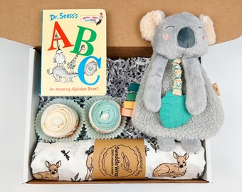 ABC Baby Book Gift Basket, Baby Shower Gift Basket, Dr. Seuss Book, New Baby Gift, Baby Boy Gift, Baby Girl Gift, Baby Book Gift Box